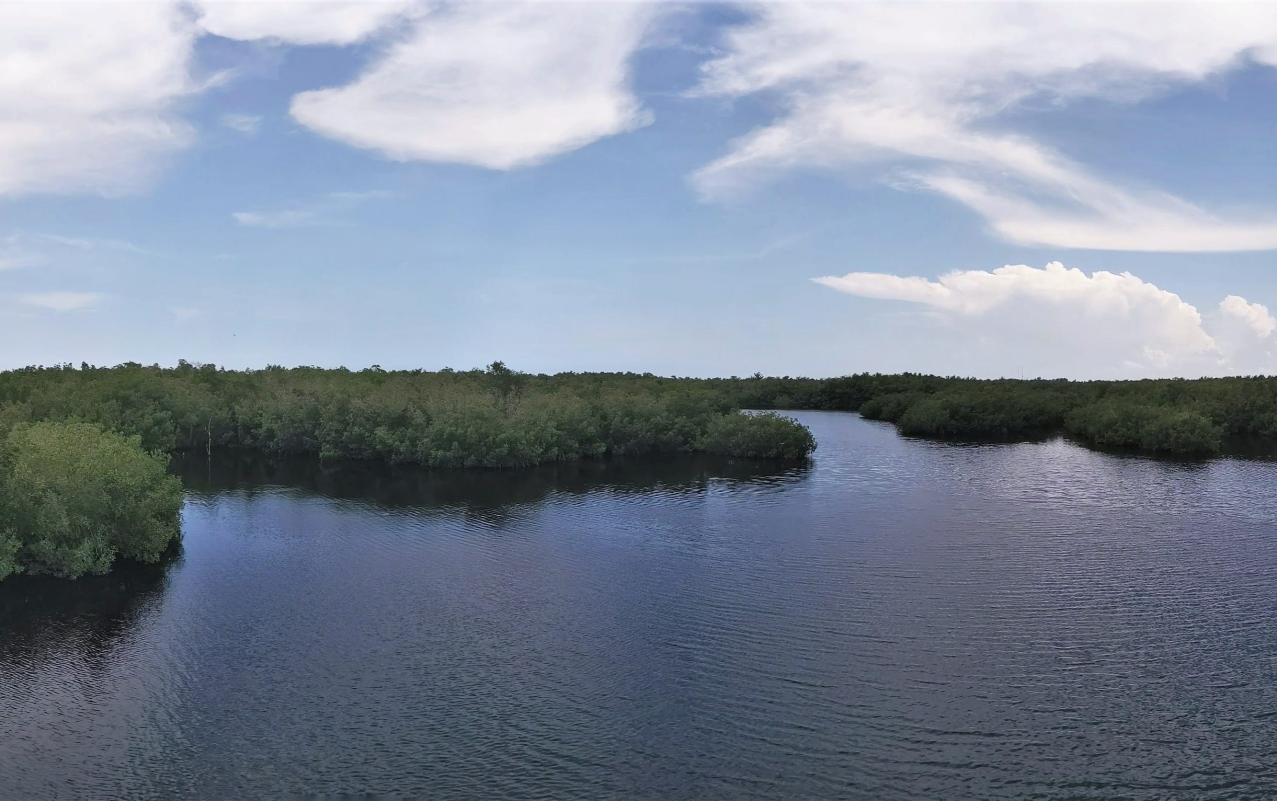 Indian River Lagoon Species Inventory