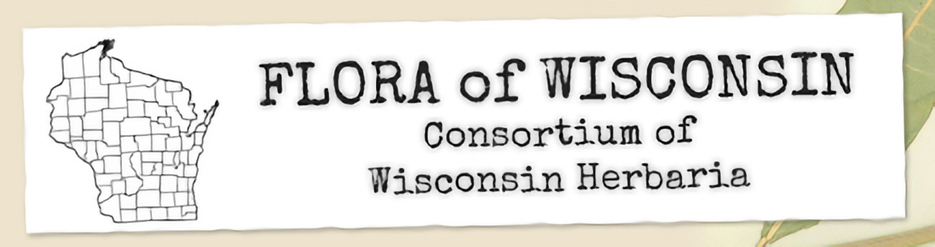 Online Virtual Flora of Wisconsin logo